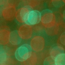 Bokeh-449